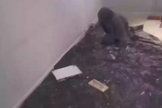 skimming services flooring and skimming services